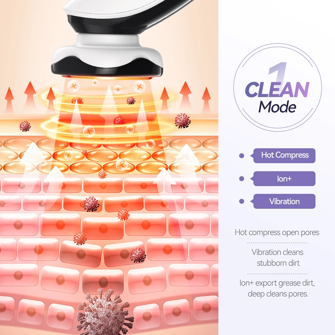 EMS Facial Lifting & Cleansing Pro